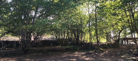 Terreno en Amares, Portugal 10800 m² No. 33768 10