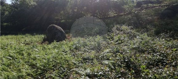 Terreno en Amares, Portugal 10800 m² No. 33768 6