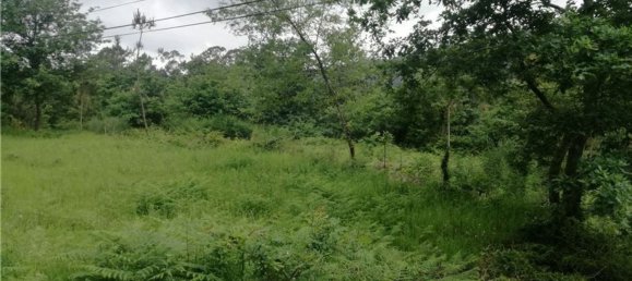 Terreno en Amares, Portugal 10800 m² No. 33768 8