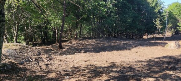 Terreno en Amares, Portugal 10800 m² No. 33768 15