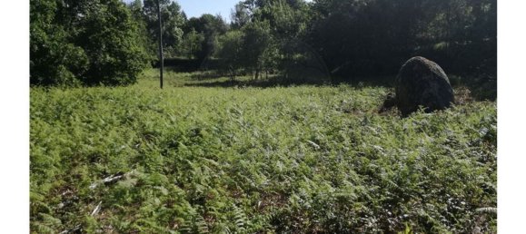 Terreno en Amares, Portugal 10800 m² No. 33768 5