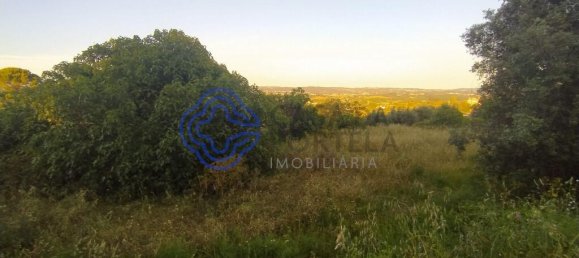 Terrain à Tomar, Portugal 400m² No. 79596 5