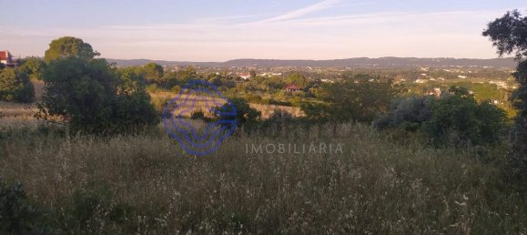 Terrain à Tomar, Portugal 400m² No. 79596 3