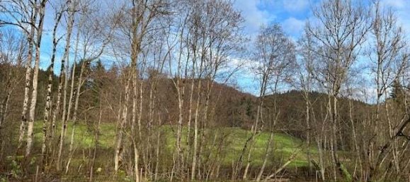 54289m² Land in Oberallgau, Germany No. 153317 8