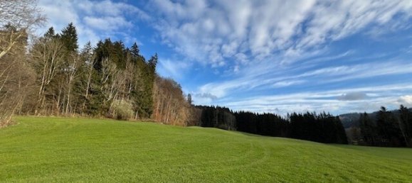 54289m² Land in Oberallgau, Germany No. 153317 4