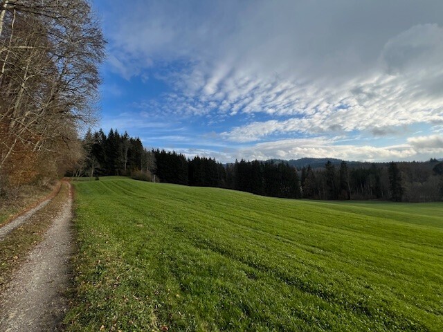 54289m² Land in Oberallgau, Germany No. 153317