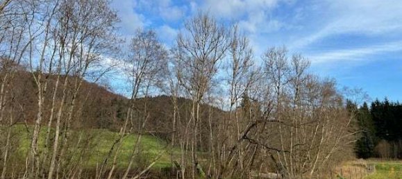 54289m² Land in Oberallgau, Germany No. 153317 9