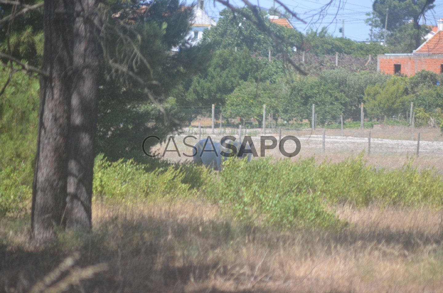 Terreno en Palmela, Portugal No. 250478