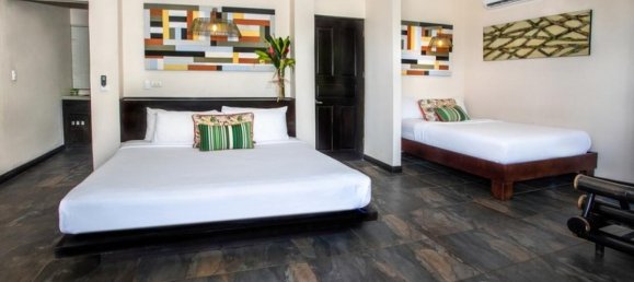 Hôtel à Puerto Jimenez, Costa Rica 53300m² No. 1334 4