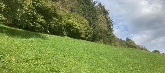 Земельный участок в Арцль им Пицталь, Австрия № 129784 5