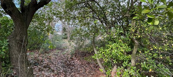 Casa de 2 dormitorios en Carcassonne, France No. 293522 3