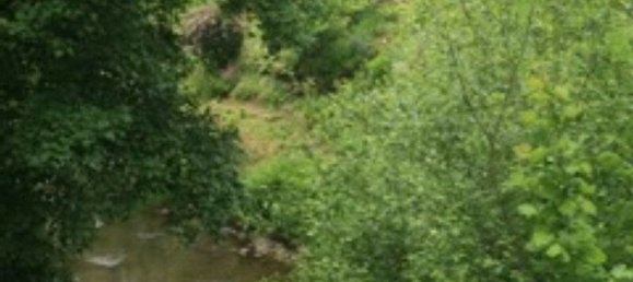 1 Schlafzimmer Haus in Gargilesse-Dampierre, France, Nr. 248011 10