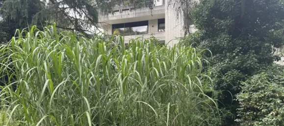 2 bedrooms Apartment in Ennepe-Ruhr, Germany No. 324816 23