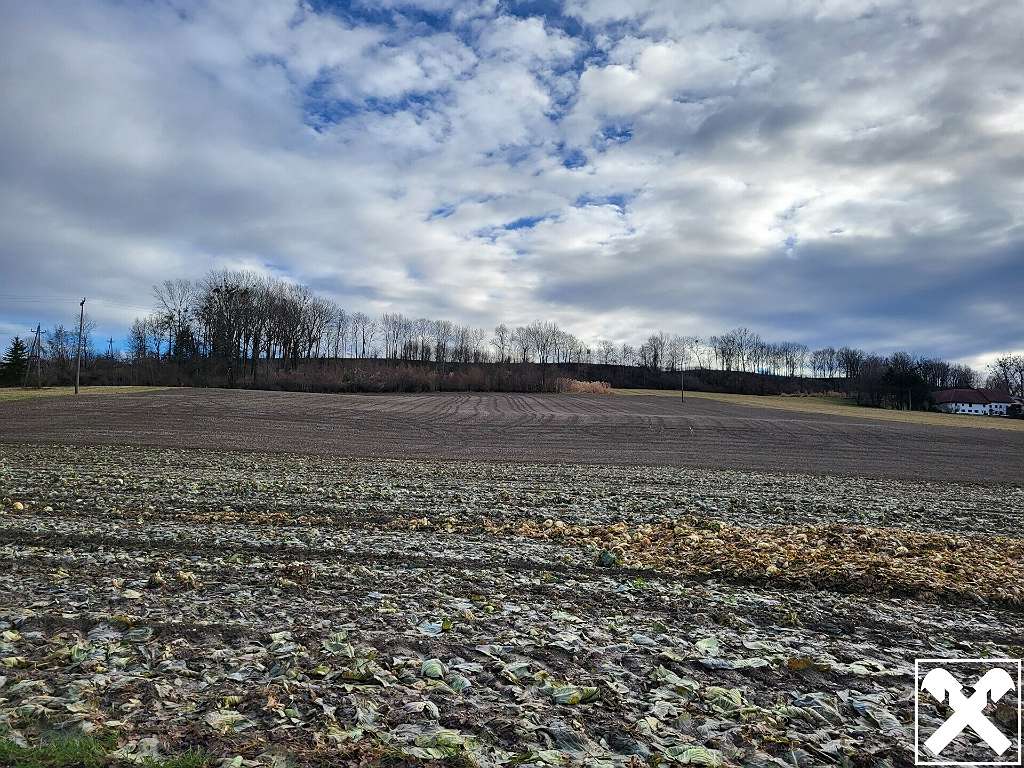  Commercial property in Alkoven, Austria No. 97292