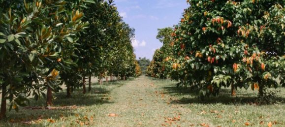 4 rooms House in Borghi, Italy No. 15963 27