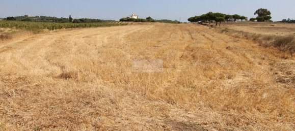 Grundstück in Aljezur, Portugal, Nr. 325465 11