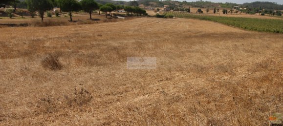 Grundstück in Aljezur, Portugal, Nr. 325465 8