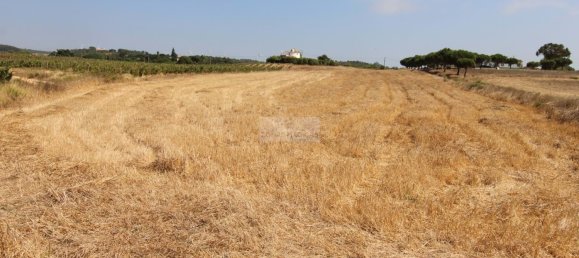 Grundstück in Aljezur, Portugal, Nr. 325465 10