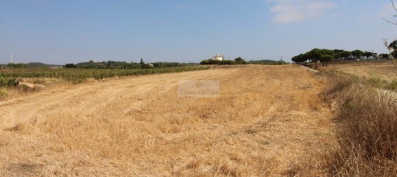 Grundstück in Aljezur, Portugal, Nr. 325465 5