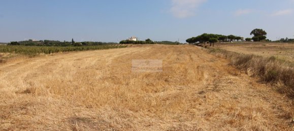 Grundstück in Aljezur, Portugal, Nr. 325465 3