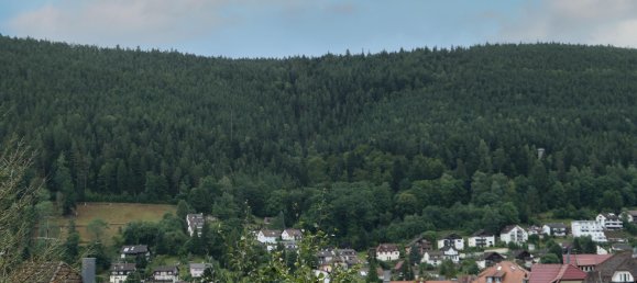 Studio in Calw, Germany, Nr. 260920 13