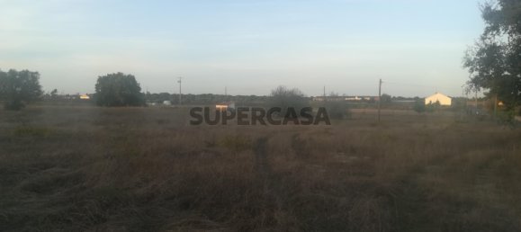 Grundstück in Cartaxo, Portugal 15000m², Nr. 159386 9