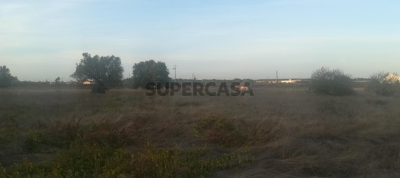 Grundstück in Cartaxo, Portugal 15000m², Nr. 159386 7