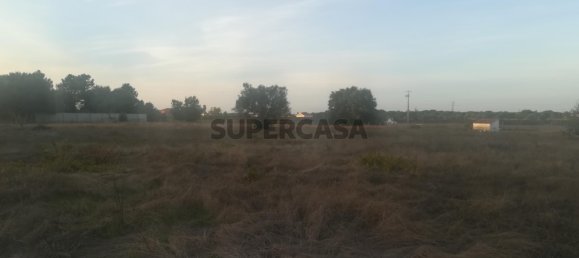 Grundstück in Cartaxo, Portugal 15000m², Nr. 159386 4