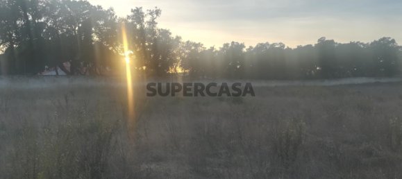 Grundstück in Cartaxo, Portugal 15000m², Nr. 159386 8