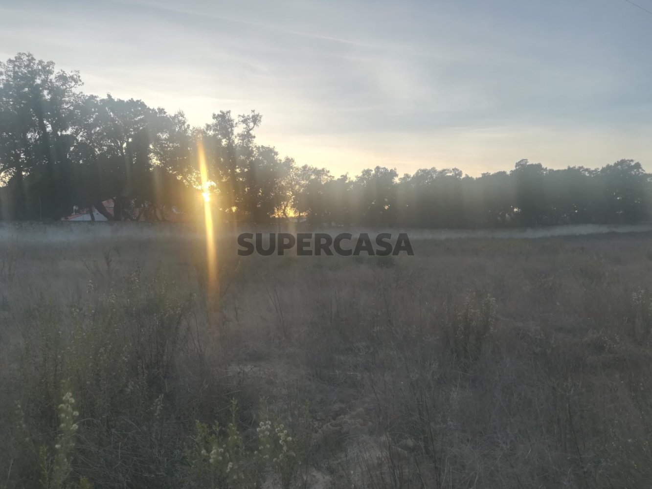 Grundstück in Cartaxo, Portugal 15000m², Nr. 159386