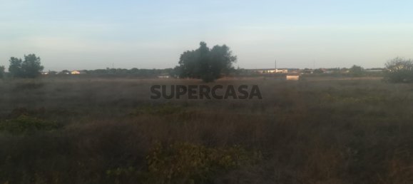 Grundstück in Cartaxo, Portugal 15000m², Nr. 159386 3