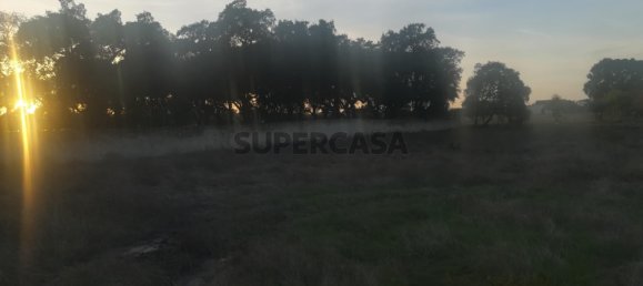 Grundstück in Cartaxo, Portugal 15000m², Nr. 159386 2