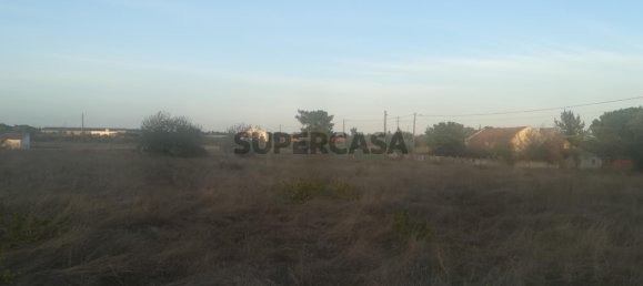 Grundstück in Cartaxo, Portugal 15000m², Nr. 159386 5