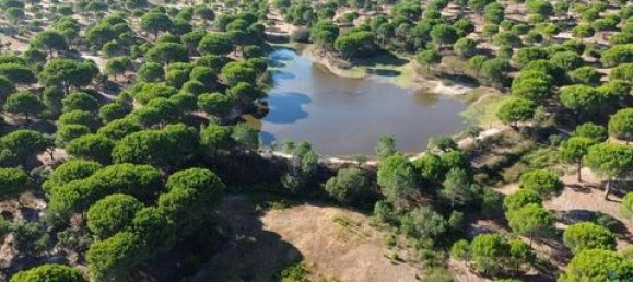  قطعة أرض في Ponte de Sor, Portugal 770000متر مربع رقم 147775 13