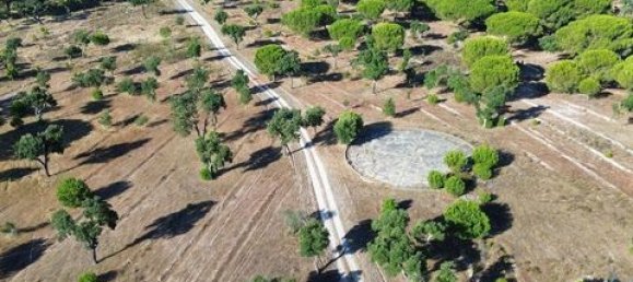  قطعة أرض في Ponte de Sor, Portugal 770000متر مربع رقم 147775 4