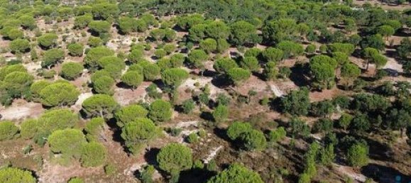  قطعة أرض في Ponte de Sor, Portugal 770000متر مربع رقم 147775 28