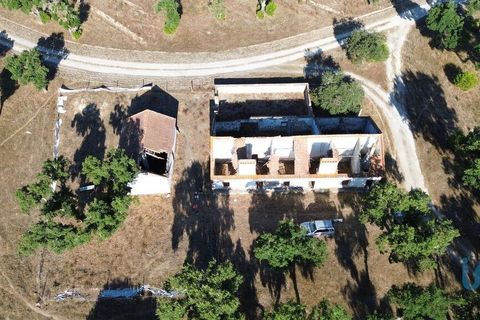  قطعة أرض في Ponte de Sor, Portugal 770000متر مربع رقم 147775