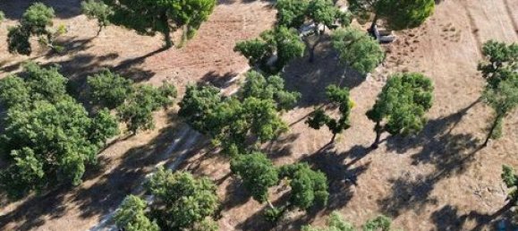  قطعة أرض في Ponte de Sor, Portugal 770000متر مربع رقم 147775 11