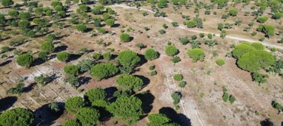  قطعة أرض في Ponte de Sor, Portugal 770000متر مربع رقم 147775 17