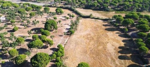  قطعة أرض في Ponte de Sor, Portugal 770000متر مربع رقم 147775 19