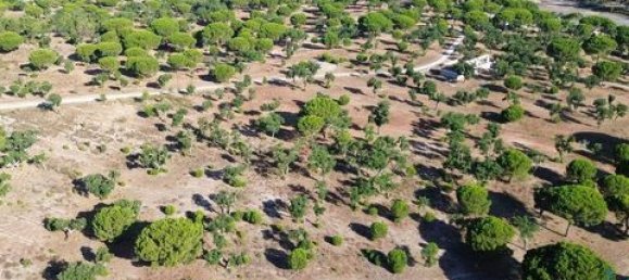  قطعة أرض في Ponte de Sor, Portugal 770000متر مربع رقم 147775 18