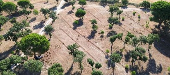  قطعة أرض في Ponte de Sor, Portugal 770000متر مربع رقم 147775 10