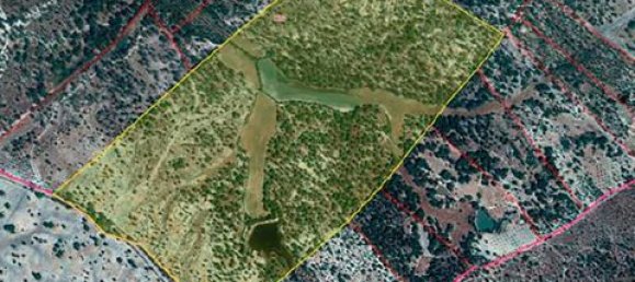  قطعة أرض في Ponte de Sor, Portugal 770000متر مربع رقم 147775 14