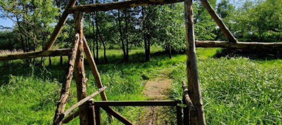 6 rooms House in Wittenberg, Germany No. 294501 24