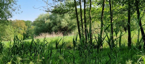 6 rooms House in Wittenberg, Germany No. 294501 21