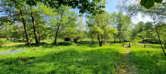 6 rooms House in Wittenberg, Germany No. 294501 22