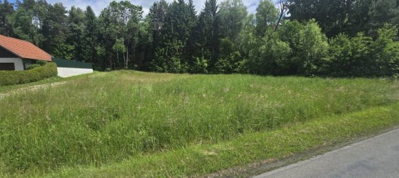 Grundstück in Neudau, Austria, Nr. 132235 6