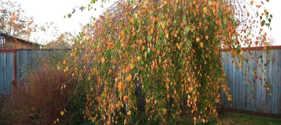 Adosado de 1 dormitorio en Dahme-Spreewald, Germany No. 44347 35
