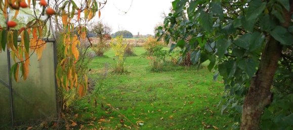 Adosado de 1 dormitorio en Dahme-Spreewald, Germany No. 44347 37