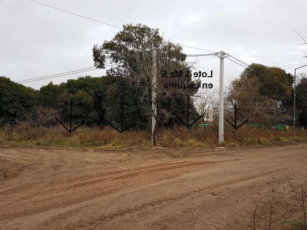 Grundstück in Cordoba, Argentina, Nr. 36595